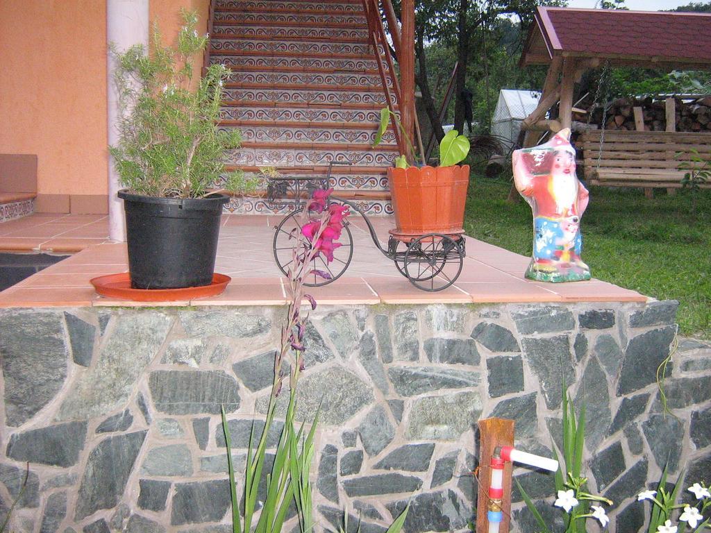 Pensiunea Patricia Oesti-Paminteni Exterior photo